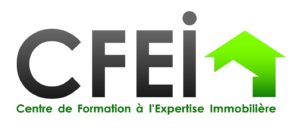 LOGO HORIZONTAL CFEI VERT