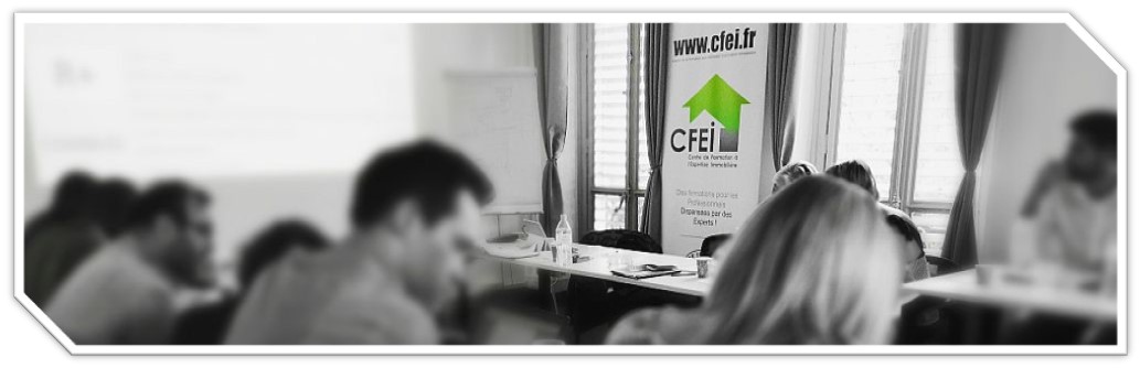 le_cfei_est_le_centre_de_formation_apprentissage_expertise_immobiliere_fonciere_commerciale