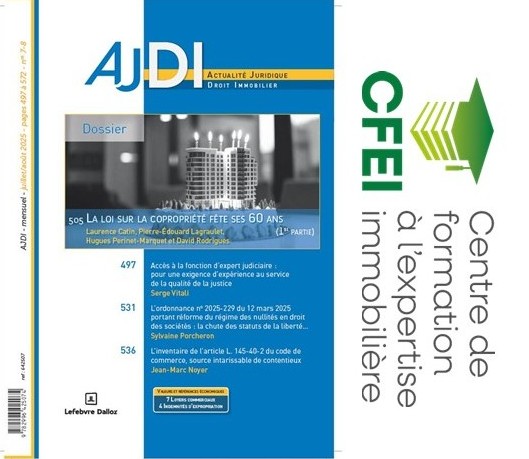 Notre formateur Serge Vitali signe une étude dans les pages de l’AJDI
