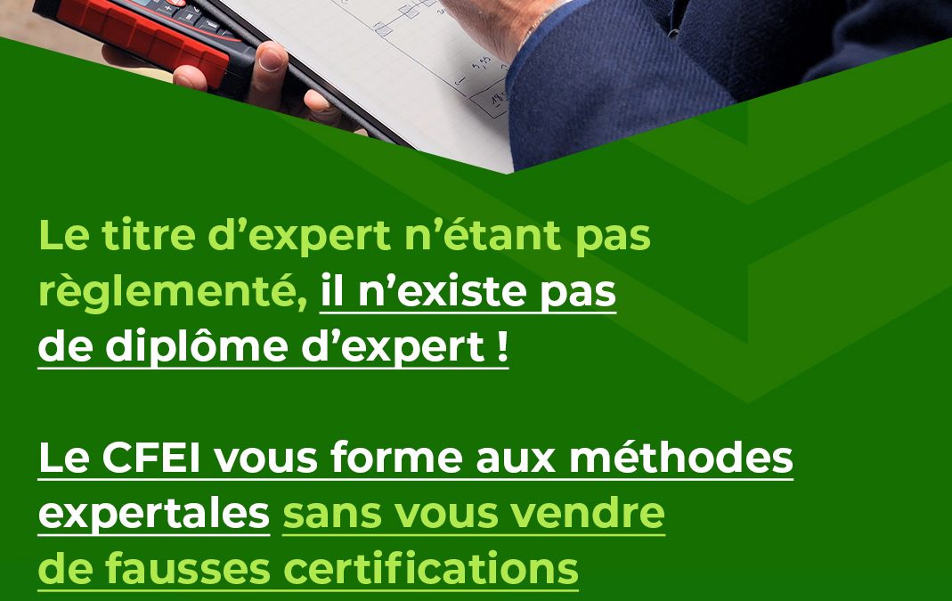 Expert, Experte, définition